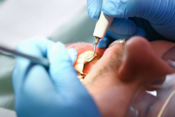 Best Emergency Orthodontic Repairs in Grand Point, LA